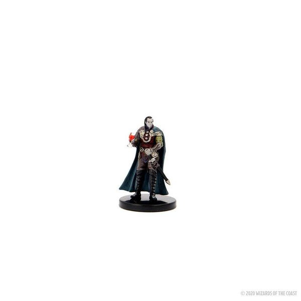 D&D Icons of the Realms: Curse of Strahd Miniaturen vorbemalt Legends of Barovia Premium Box !VORB.!